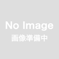ブレインナーシング　Vol.42/No.2［特大号］脳神経領域の評価・スケール総まとめブック